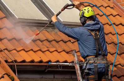 Démoussage et hydrofuge de toiture à Champis